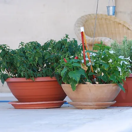Relais Delle Ceramiche فندق مبيت وإفطار 3*