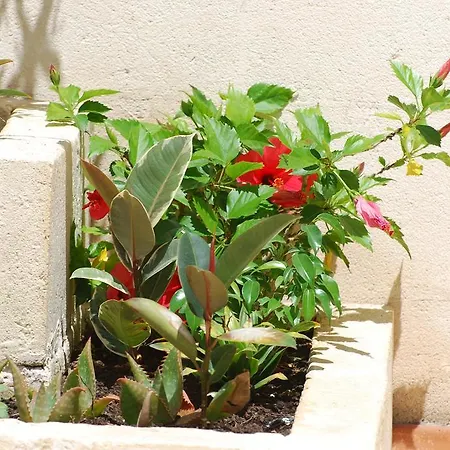 Relais Delle Ceramiche فندق مبيت وإفطار غروتاليي