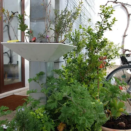 Bed & Breakfast Relais Delle Ceramiche